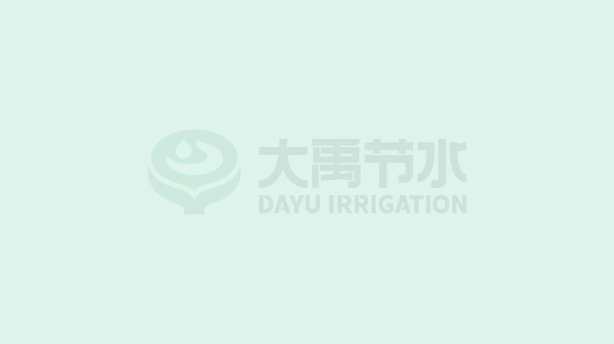  吳普特