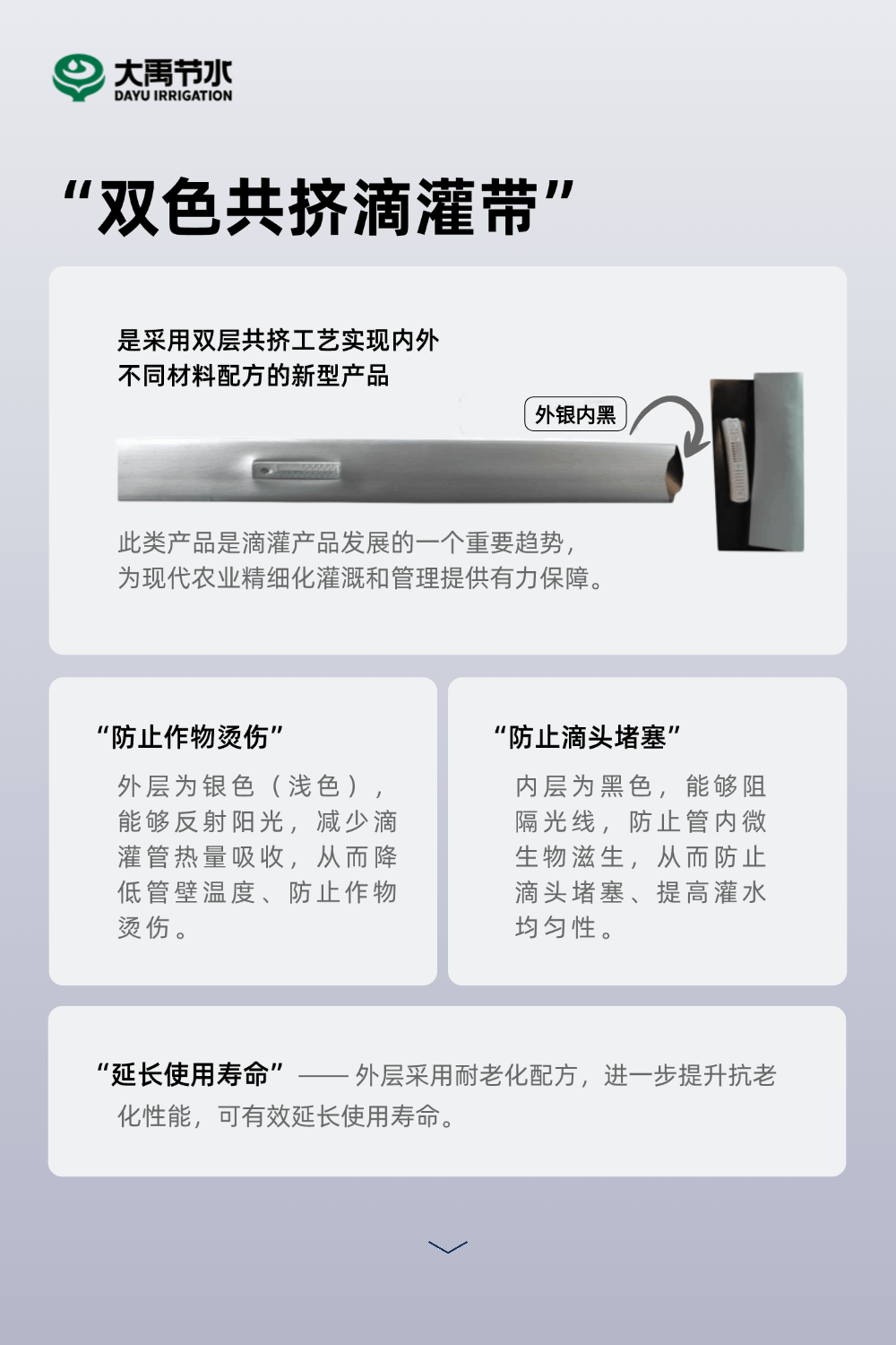 202502141739500883686607.gif 0211-替換1.gif