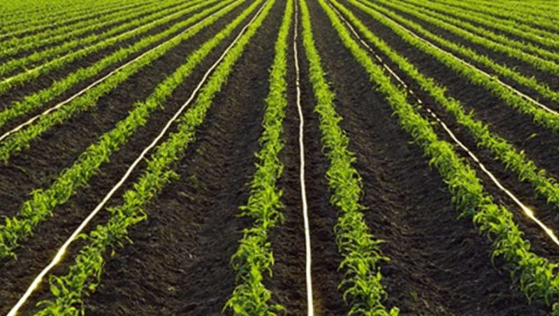 內(nèi)蒙古科右前旗2023年“EPC+O”高標準農(nóng)田建設(shè)項目