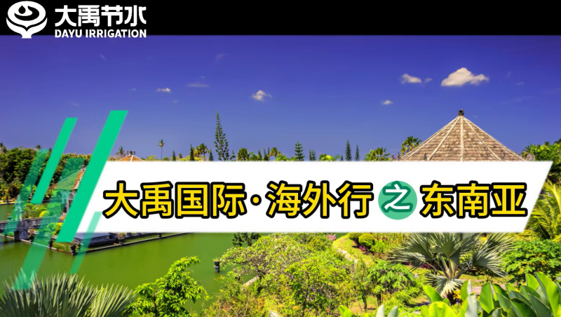 大禹國(guó)際海外行之東南亞