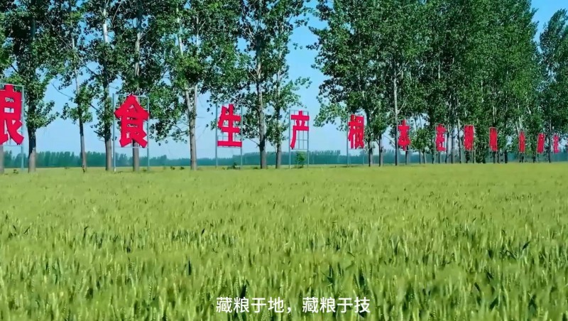 大禹節(jié)水：破解高標準農(nóng)田建設難題，扛牢糧食安全重擔，以科技與責任交出了一份創(chuàng)新答卷。